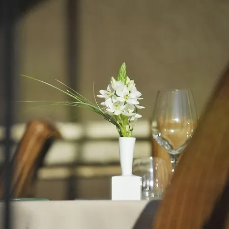 Chateau De Champlong Table **** Golf & Otel 4*